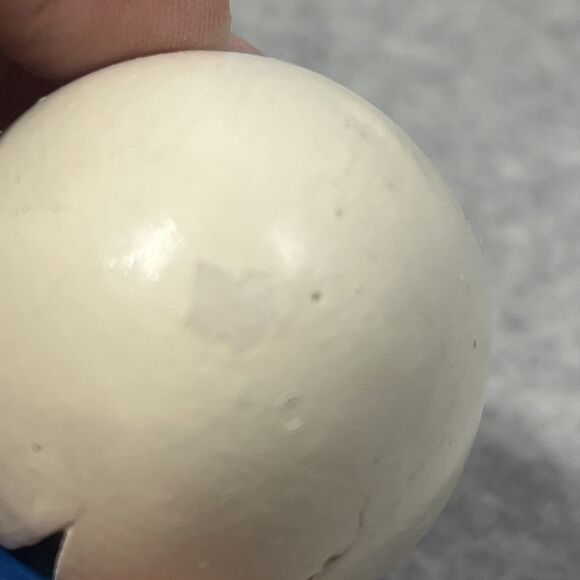 Vintage Hand Painted Parrot Figurines Set Cracking Out of Egg Bird Collectibles - Picture 13 of 16